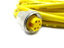 Turck Double Ended Cordset RKM40-8M *New No Box*