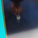 Siemens Simatic HMI IPC677C 6AV7892-0AC10-1AB0